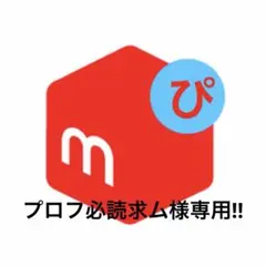 プロフ必読求ム様専用！！