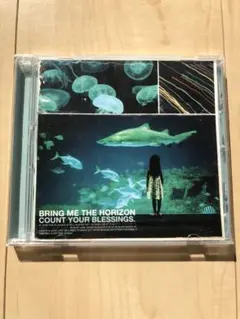 BringMeiTheHorizon Count Your Bl…（丁寧梱包）