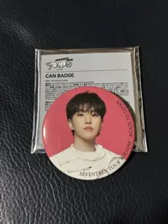 SEVENTEEN ホシ　follow again 缶バッジ　セブチ