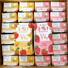 유글레나 바디 드링크 모듬 세트 딸기 과일 24병