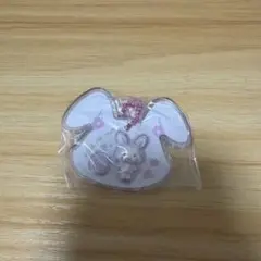 ぴ*ー様 サンリオ　パッケージチャーム&チョコボーロ ウィッシュミーメル