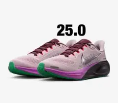 新品ナイキ ウィメンズ ペガサス 41 25.0㎝