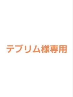 テブリム様専用ページ