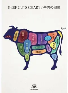 アートポスター BEEF CUTS CHART