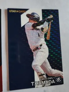 プロ野球チップス2024カードのみ　セット