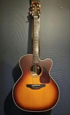 2025年最新】Takamine NPT-012BSの人気アイテム - メルカリ