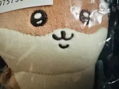 ナガノくじ　カワウソ　D賞マスコット