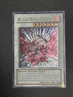 2026年最新】ブラック・ローズ・ドラゴン レリーフ 英語の人気アイテム