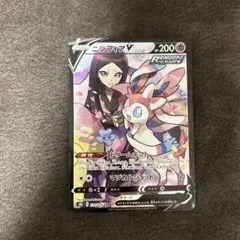 ニンフィアV CSR