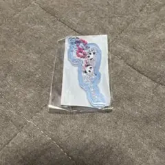 【即日発送】琵琶湖キーホルダー　草津　パンダ