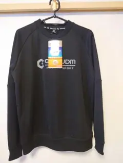 Item thumbnail for item d188e2cd-b39a-4681-8e67-28527f313c66