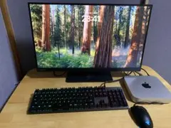 Apple Mac mini M1 , 4Kスクリーン, キーボードとマウス