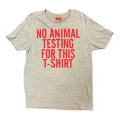 ZARA MAN グレー Tシャツ L