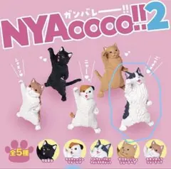 NYAoooo!!2 ガンバレー!! ノルウェージャンフォレストキャット