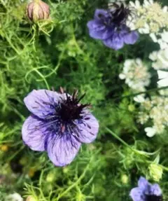 くろ様 リクエスト 2点 まとめ商品