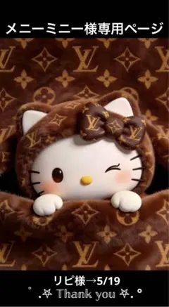 ✨️メニーミニー様専用ページ✨️