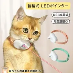 Item thumbnail for item c4e350be-4022-411e-8aa5-cc009ba279f0