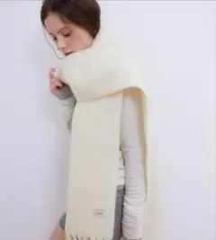 Item thumbnail for item 76995059-b675-4f73-b1fe-3f826dc81533