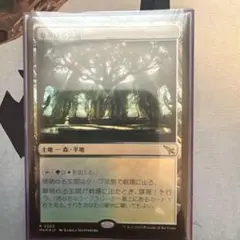 MTG MKM 草萌ゆる玄関　日本語foilのサムネイル