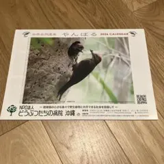 Item thumbnail for item 97cd1c55-c0d1-414f-b1b8-fc8681b1d6c9