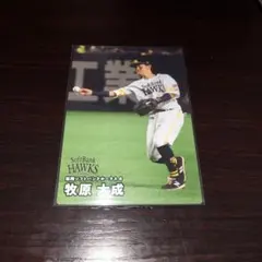 2025カルビープロ野球チップスカード 牧原大成カード031