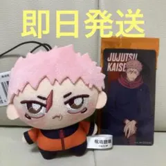 呪術廻戦 ちょぴぬいぷち クリアシート 虎杖悠仁 ぬいぐるみ マスコット ⑩2