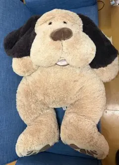 2026年最新】平成犬ぬいぐるみの人気アイテム - メルカリ