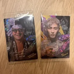 Item thumbnail for item 5dc44a9c-cf62-472b-ad46-c7fc11cf3d4b