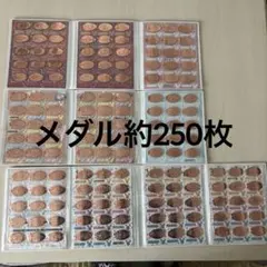 ウ*ヌ様 ディズニーランド シー スーベニアメダル