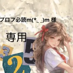 プロフ必読m(*_ _)m 様専用⋈ *。