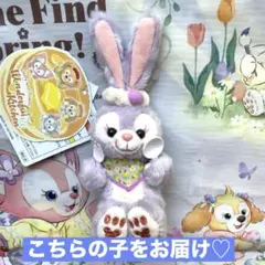 TDS ワンダフルキッチン　ステラルー　ぬいぐるみチャーム　②