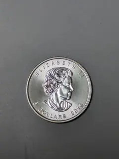 2026年最新】メイプルリーフ銀貨の人気アイテム - メルカリ
