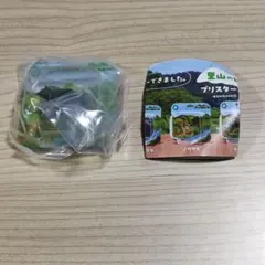 ネイチャーテクニカラー　里山のいきものブリスターコレクション　タヌキ