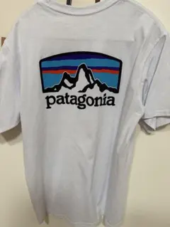 patagonia パタゴニア　ホワイト Tシャツ XS