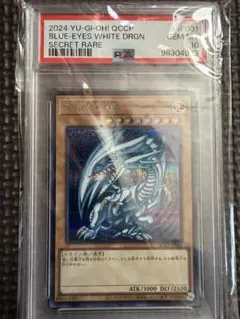 2024 BLUE-EYES WHITE DRGN SECRET RARE