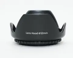 Item thumbnail for item 3fed1bb6-abfd-4c46-a43b-2f290294ed96