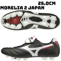 Item thumbnail for item e89e9c44-bfd1-4d2e-9fa3-936f9620e0b4