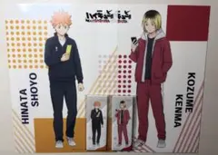 ハイキュー!!ゴミ捨て場の決戦　楽天ブックス特典 日向翔陽　孤爪研磨