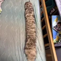 Item thumbnail for item d13172f9-a612-423f-9fce-de533fe2ebf0