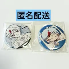 半妖の夜叉姫 犬夜叉 日暮とわ 缶バッジ 2点セット