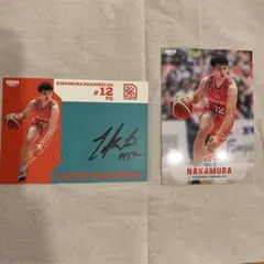 Item thumbnail for item 5dd4398c-ce89-423b-9046-49640d28d71b