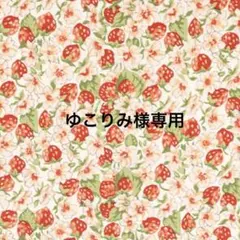 ハンドメイドポーチ　ユキエモン　３点