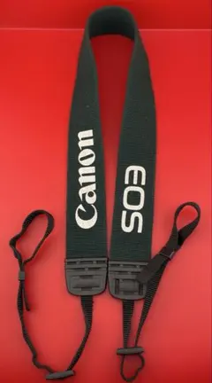 Item thumbnail for item 60125a68-d465-4585-bb95-745658160a8d