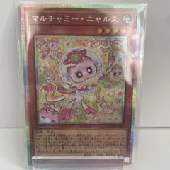 マルチャミーニャルス プリズマ
