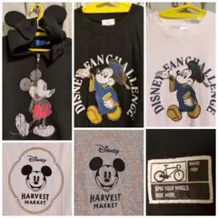 ディズニー 40周年 Tシャツ パーカー S　М　ハーベストマーケット　ミッキーのサムネイル