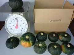 れいれいうさ様専用 坊っちゃんかぼちゃ　9個+40個　25081303-49P