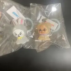 straykids SKZOO めじるしアクセサリー リービット パピーム