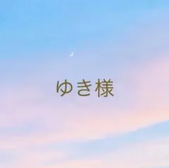 ゆき様 リクエスト 2点 まとめ商品