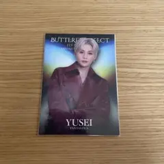 八木勇征　butterfly effect トレカ　フォトカ