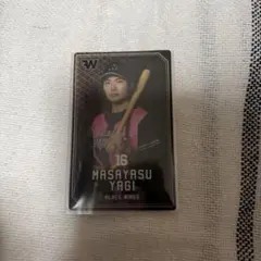 Item thumbnail for item 9f3a9baa-31c2-4b3a-a7b5-eb7c367bd47c